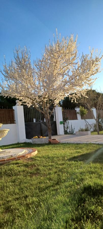 La Espiga Villa Valladolid Exterior photo